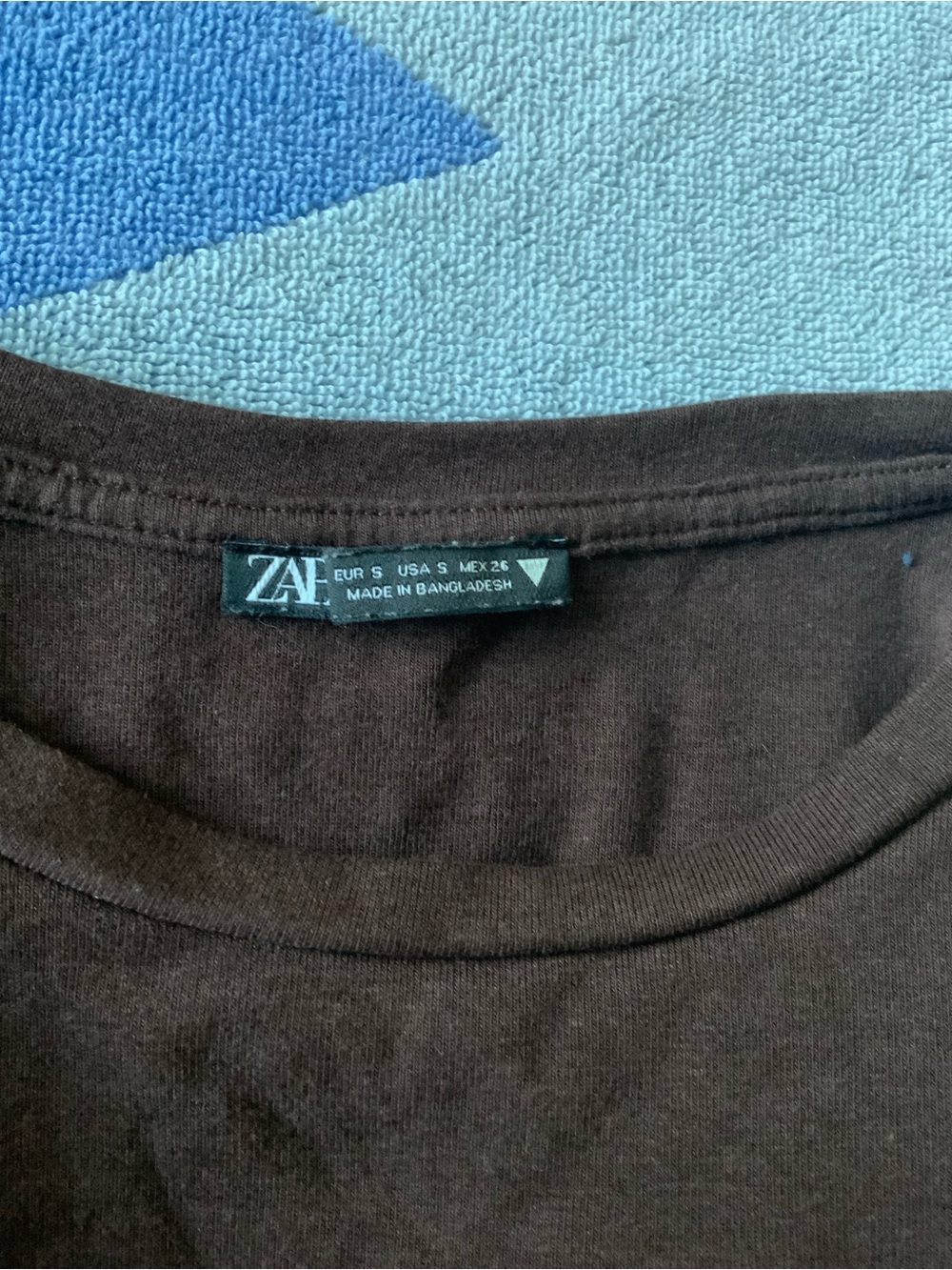 ZARA Brown bodysuit